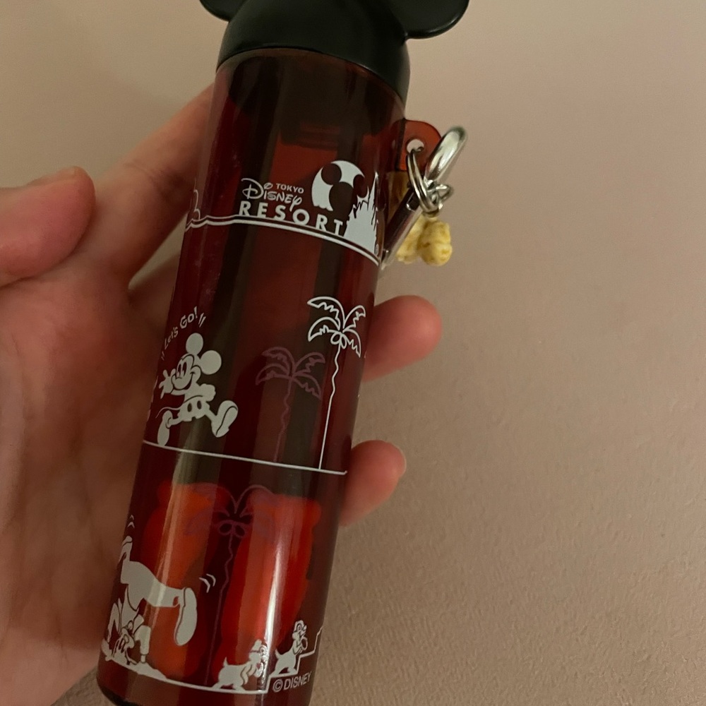 Tokyo Disney Popcorn Catcher Key Chain - Picture 5 of 8
